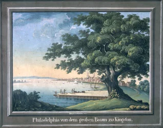 Der große Baum von Kingston mit Blick auf Philadelphia dahinter